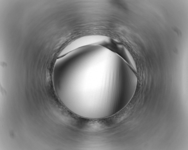 X0000090720704200708101553