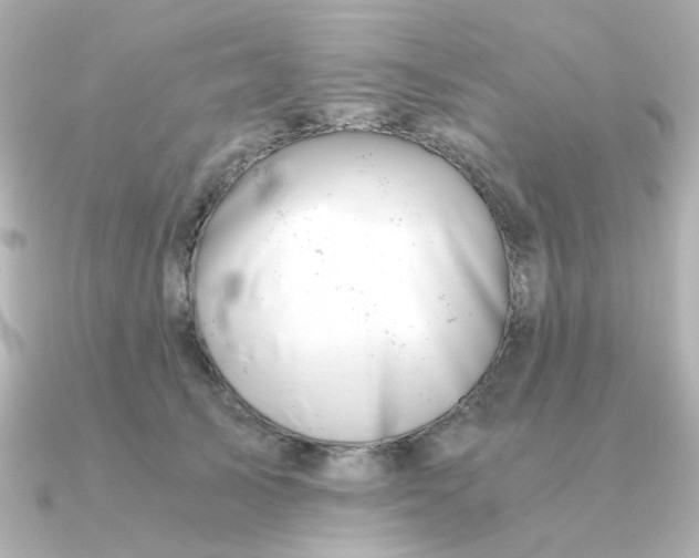 X0000090720705200708101553