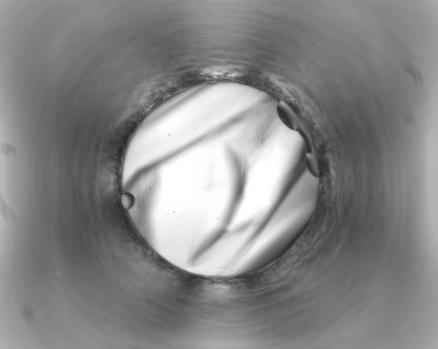 X0000090720706200708101553