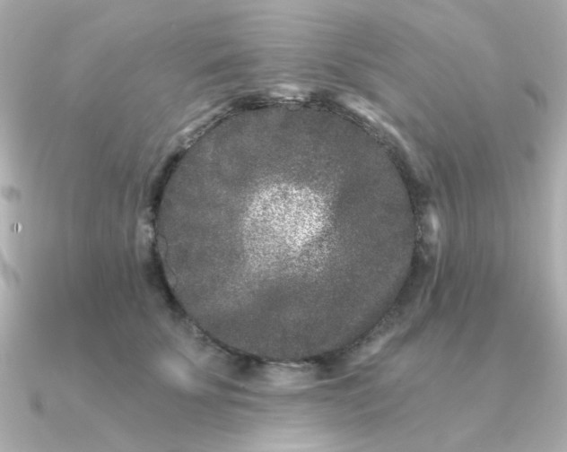 X0000090720707200708101553