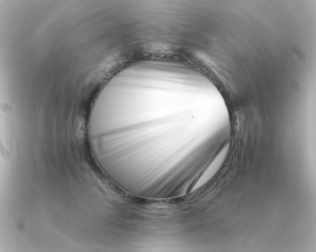 X0000090720708200708101553