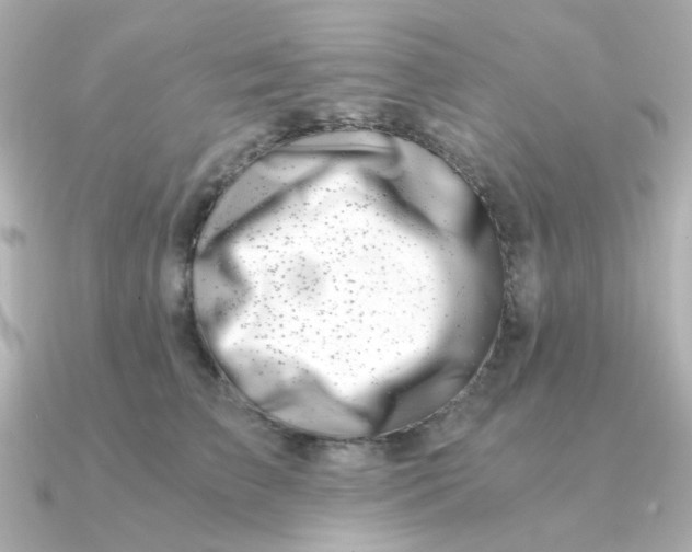 X0000090720709200708101553