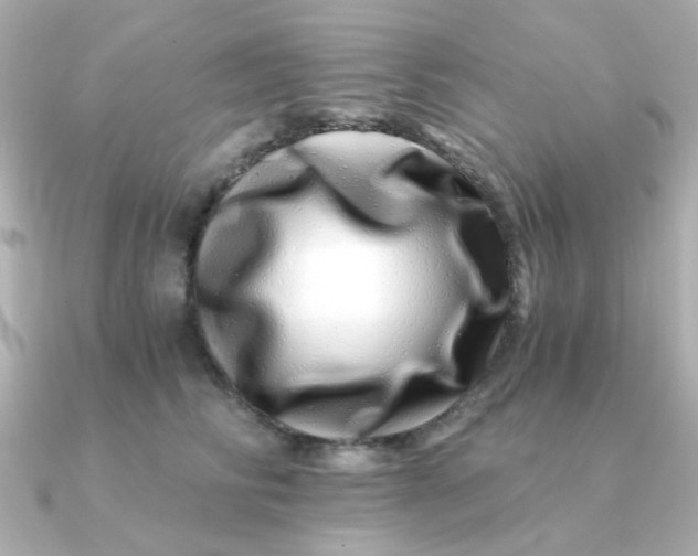 X0000090720710200708101553