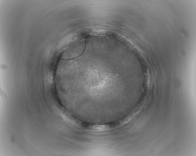 X0000090720711200708101553