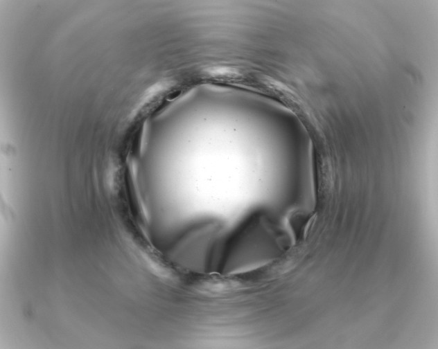 X0000090720712200708101553