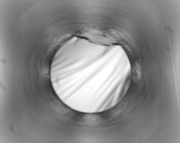 X0000090720714200708101553