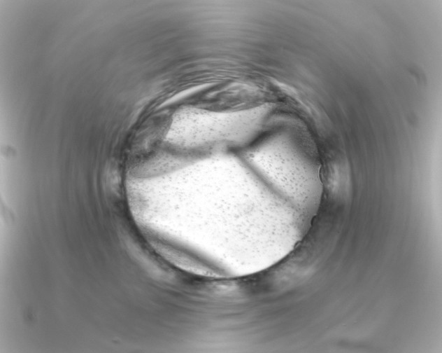 X0000090720715200708101553