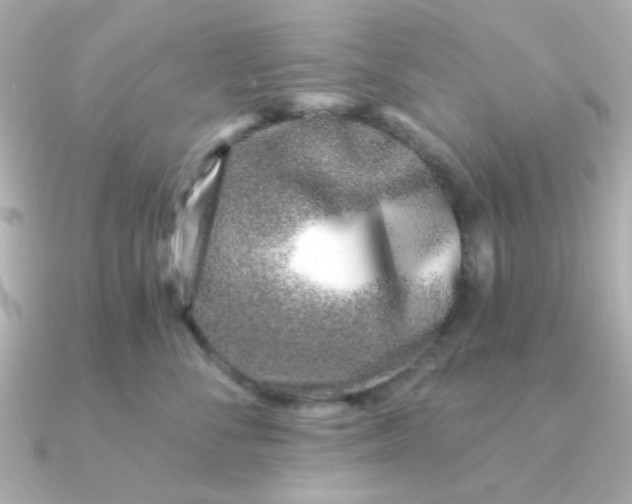 X0000090720716200708101553