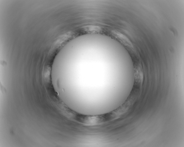 X0000090720717200708101553