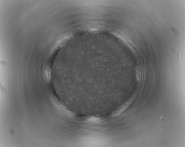 X0000090720718200708101553