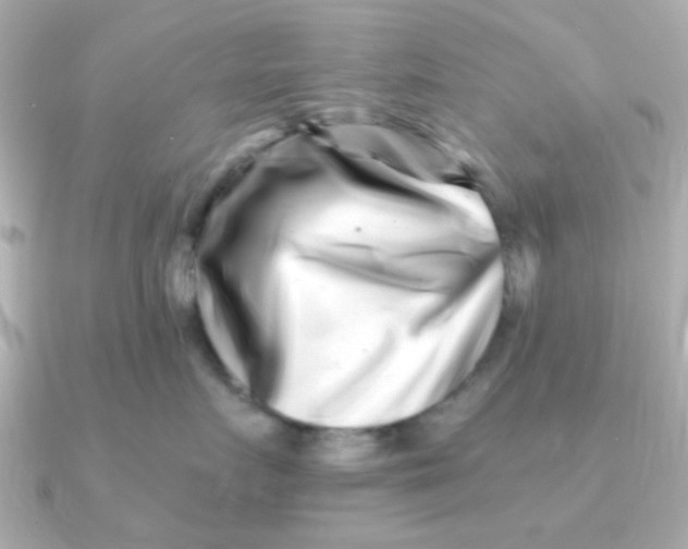 X0000090720719200708101553