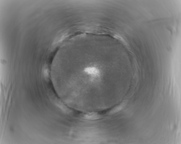 X0000090720720200708101553