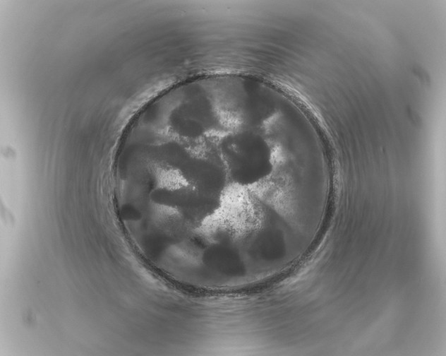 X0000090720721200708101552