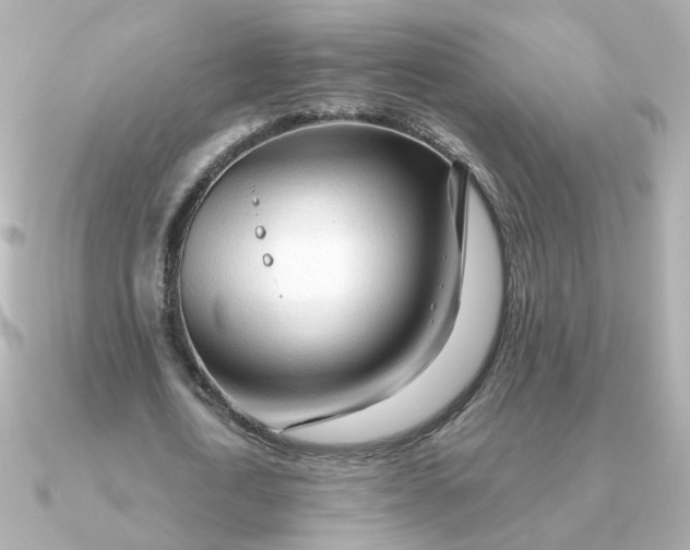 X0000090720722200708101552