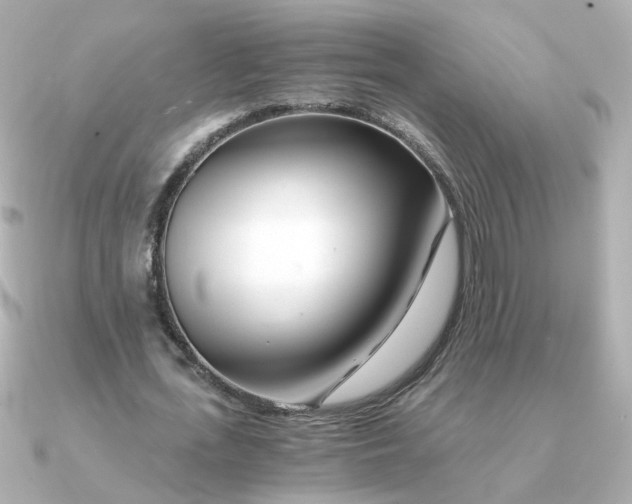 X0000090720723200708101552