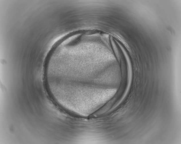 X0000090720724200708101552