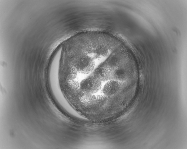 X0000090720725200708101552