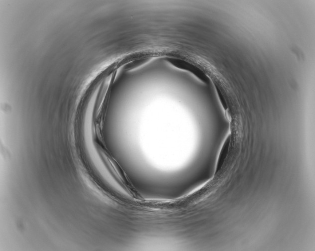 X0000090720726200708101552