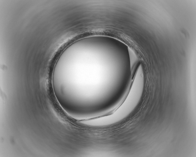 X0000090720728200708101553