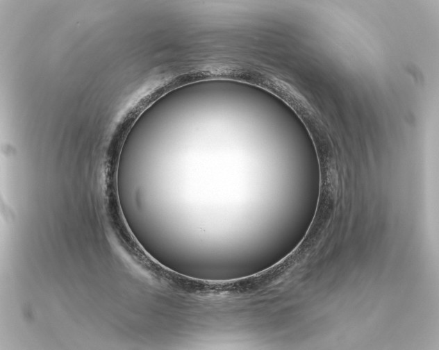 X0000090720730200708101553