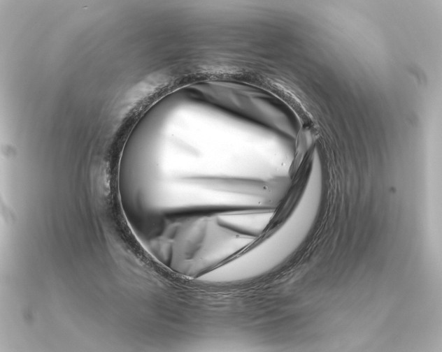 X0000090720731200708101553