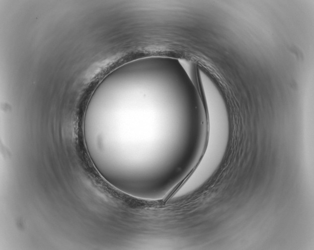 X0000090720732200708101553