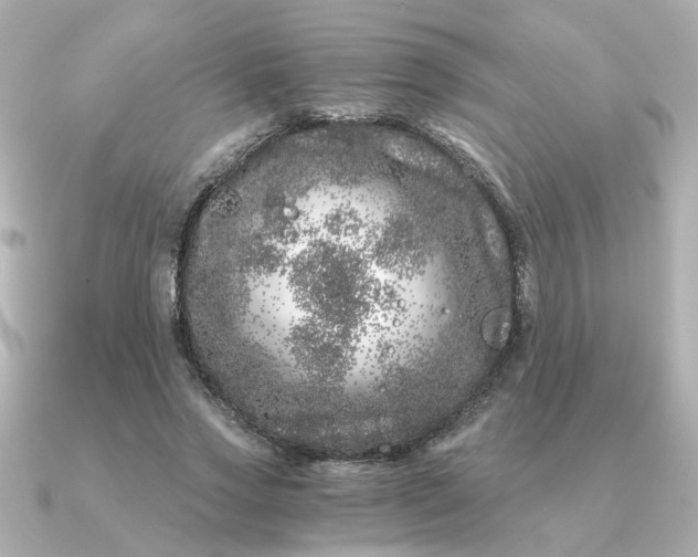 X0000090720733200708101553