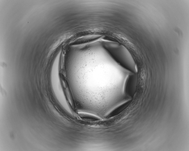 X0000090720734200708101553