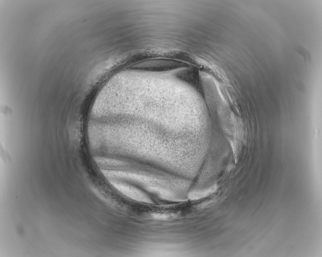 X0000090720736200708101553