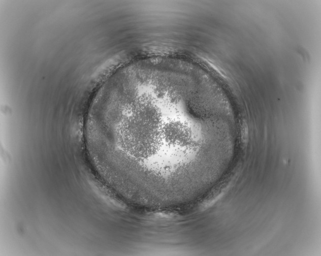 X0000090720737200708101553