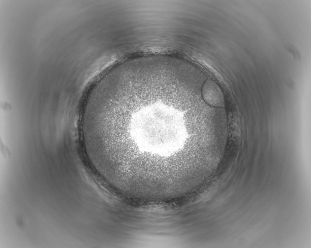 X0000090720738200708101553