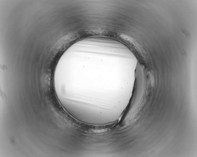 X0000090720739200708101553