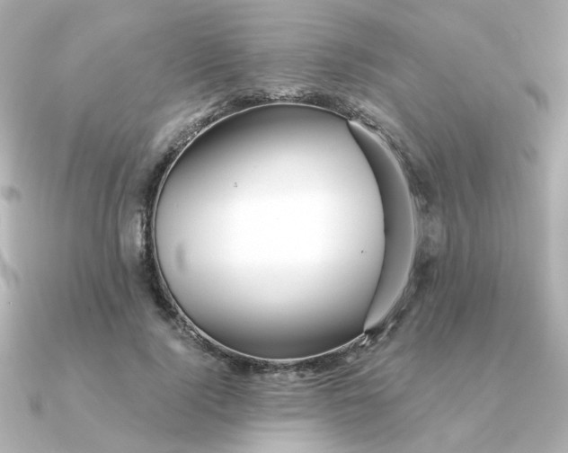 X0000090720740200708101553