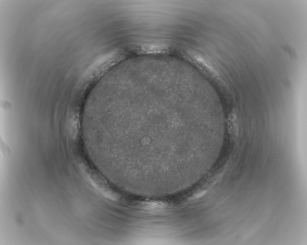 X0000090720741200708101553