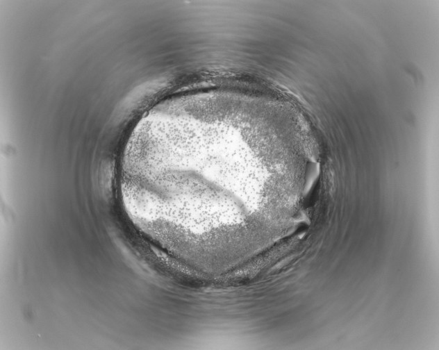 X0000090720742200708101553