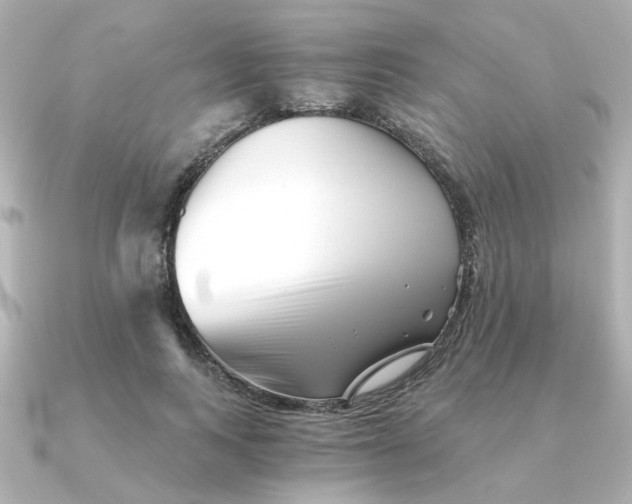 X0000090720743200708101553