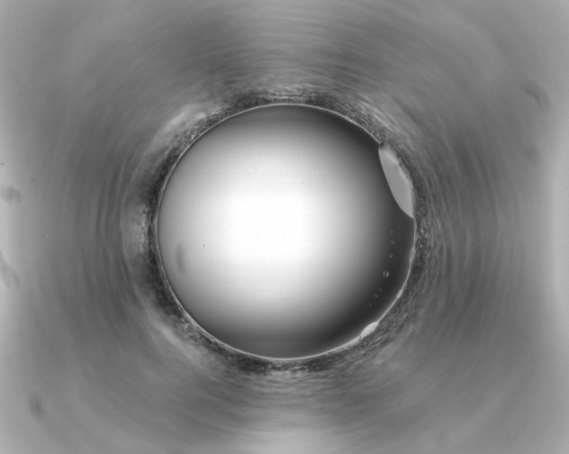 X0000090720744200708101553