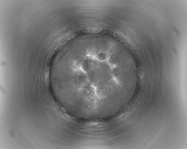 X0000090720745200708101553