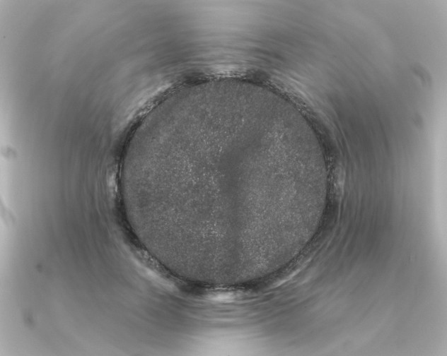 X0000090720746200708101553