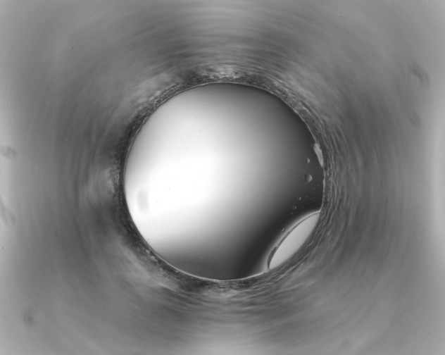 X0000090720747200708101553