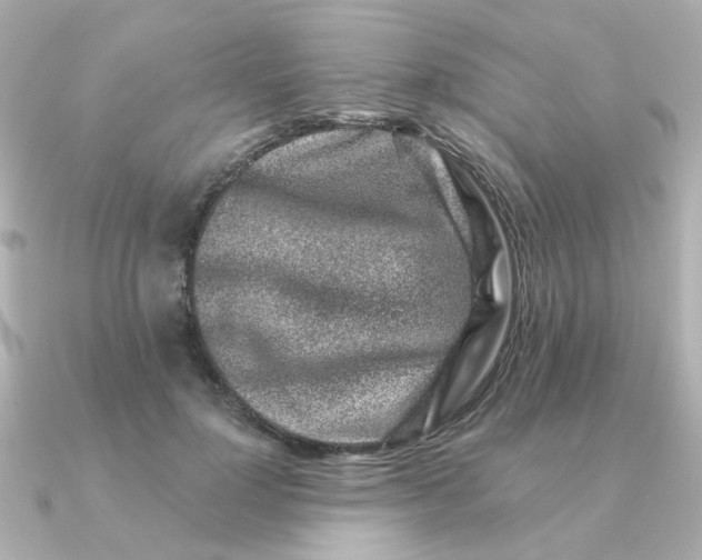 X0000090720748200708101553