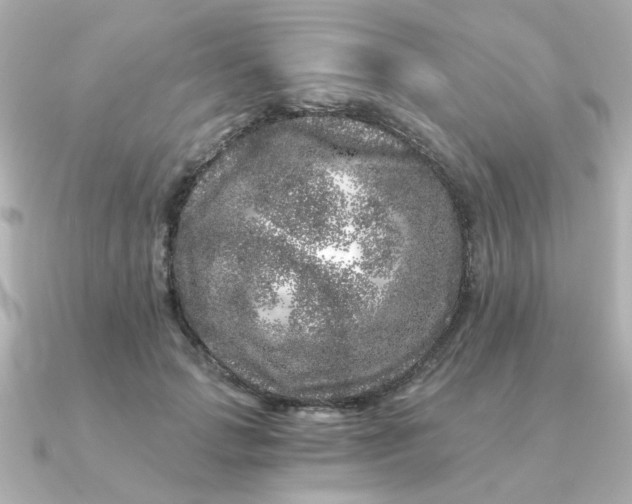 X0000090720749200708101553