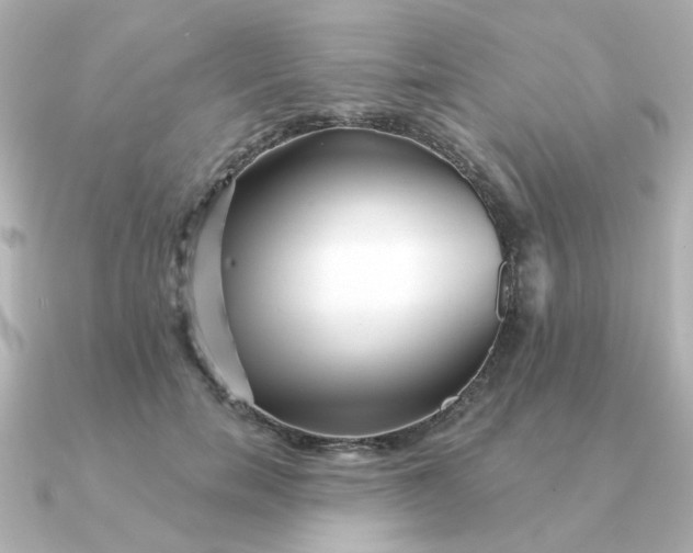 X0000090720750200708101553