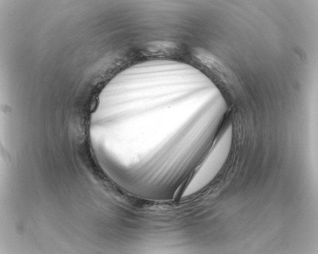 X0000090720751200708101553