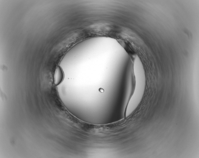 X0000090720752200708101553