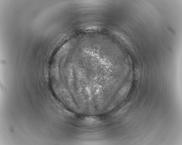 X0000090720753200708101553