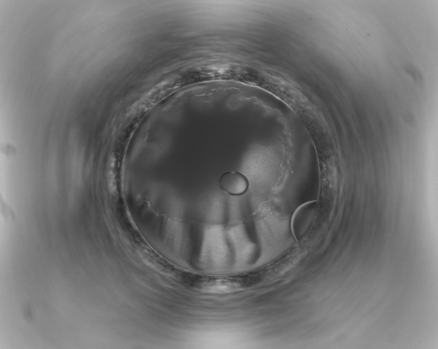 X0000090720754200708101553