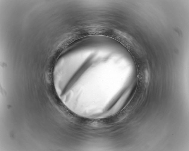 X0000090720755200708101553