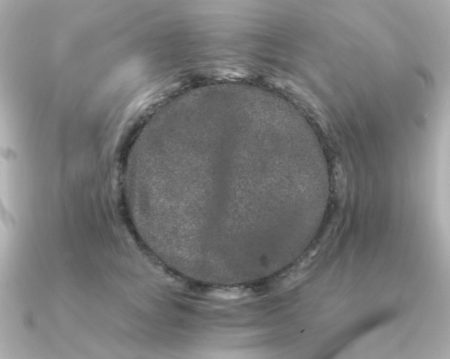 X0000090720757200708101553