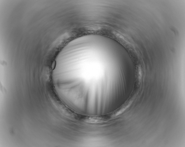 X0000090720758200708101553